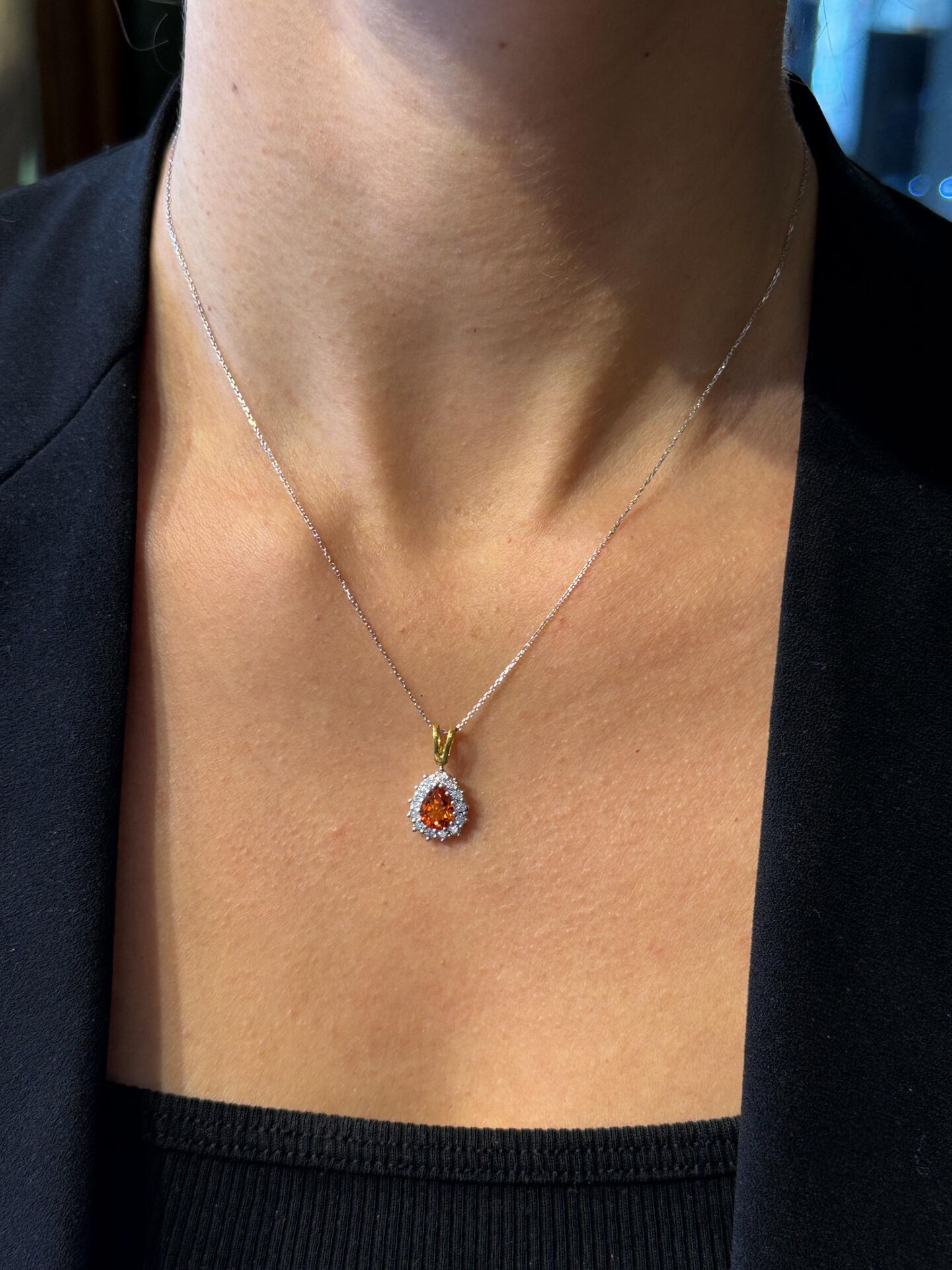 Kalanchoe Kolye
