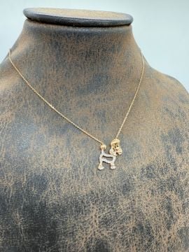 Pırlantalı köpek Kolye